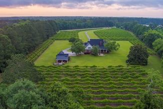 2421 Nashville Enigma Rd, Nashville, GA 31639