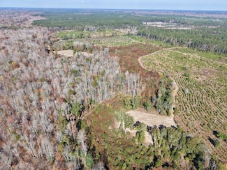 TBD Altman Rd, Varnville, SC 29924