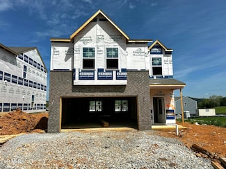 139 Golden Rod Dr, Bluff City, TN 37618