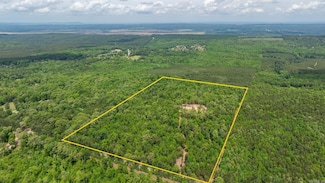 36982 Arkansas 300, Bigelow, AR 72016