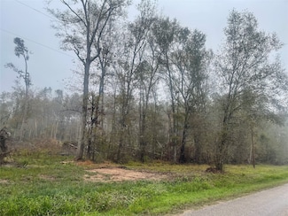 151 Thomas Windt Rd, Shepherd, TX 77371