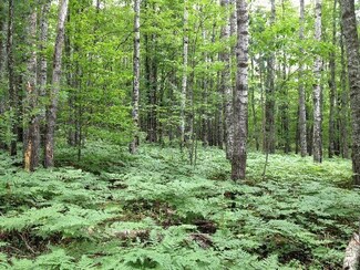 5 acres Cedar Run Rd Unit 5 Acres, Fairview, MI 48621