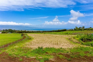 2350 Baldwin Ave Unit A, Makawao, HI 96768