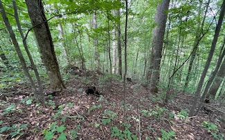 Lot 19 Bear Trail, Hiawassee, GA 30546