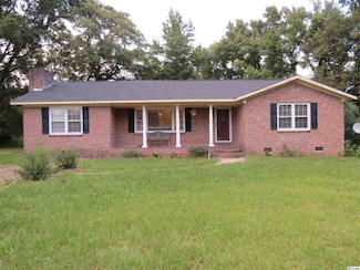 6028 Pleasant Hill Dr Unit Georgetown County, Hemingway, SC 29554