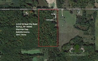 11515 W Beal City Rd, Remus, MI 49340