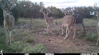 Lot 15 Contrary Creek Ranch, Rocksprings, TX 78880