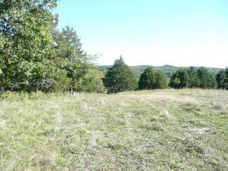 0 Turkey Creek Unit 11315382, Garrison, MO 65657