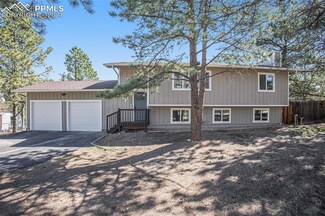 1260 Michael Ln, Woodland Park, CO 80863