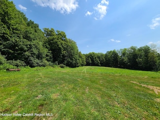 Tbd Stump Pond Rd, Livingstn Mnr, NY 12758