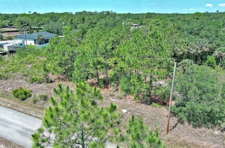 805 Lincoln Ave, Lehigh Acres, FL 33972