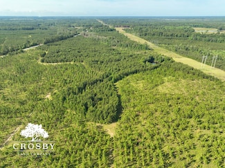 0 Georgia 297, Soperton, GA 30457