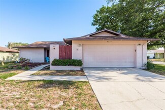 8224 Tahr Ave, New Port Richey, FL 34653