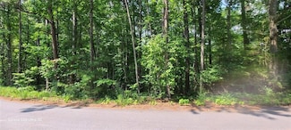 8042 Longleaf Ct, Villa Rica, GA 30180