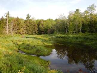 0 Porter Unit S1540493, Plymouth, NY 13832