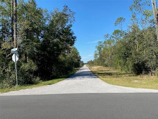 TBD Lakeland Heights Ave, Dunnellon, FL 34431