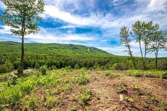 4935 Vermont 11 Unit All 4 lots, Landgrove, VT 05148