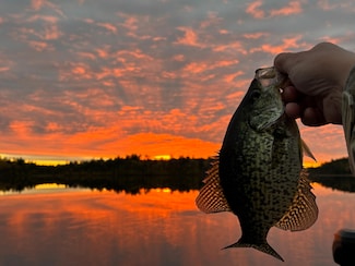 TBD Wilderness Way Rd, Cook, MN 55723