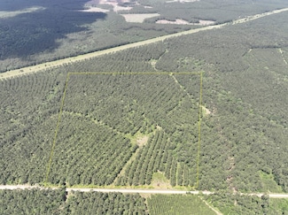 Easement Access, Groveton, TX 75845
