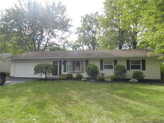 7380 Goldenrod Dr, Mentor On the Lake, OH 44060