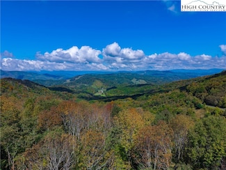 H406 Buffalo Nvno, Zionville, NC 28698