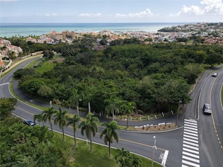 0 Palmas Dr Unit MFRPR9112924, HuMacAo, PR 00791