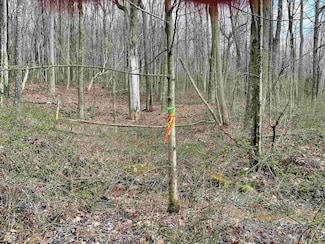 Lot 23 Hobbits Glenn Estates, Masontown, WV 26542