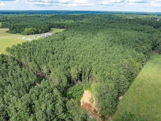 Parcel C J Runnels Rd, Petal, MS 39465