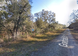 35311 Goethals St, Webster, FL 33597