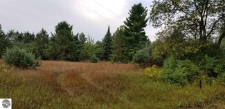 0 W 14 Rd, Mesick, MI 49668