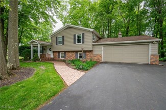 297 Stahl Ave, Cortland, OH 44410