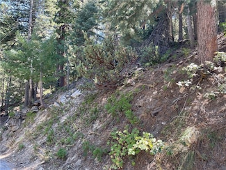 28 Forest Ln, Twin Peaks, CA 92391