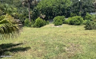 116 Rains Dr, Ponce Inlet, FL 32127