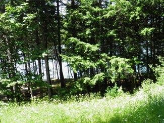 87 Stolfi Ln, Island Falls, ME 04747