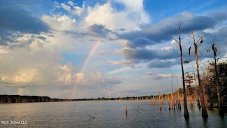 0 Pecan Grove Rd Unit 4124062, Woodville, MS 39669