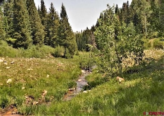 TBD Transfer Rd, Olathe, CO 81425