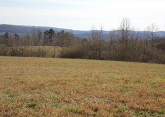 0 Posey Rd Unit 500962, Blountsville, AL 35031