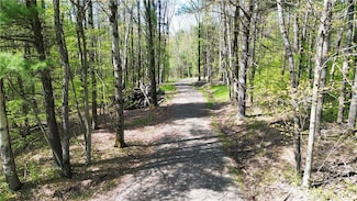 0 Tracy Rd Unit R1606337, Coventry, NY 13730