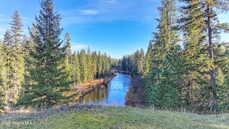 1382 Copperhead Ln, Santa, ID 83866