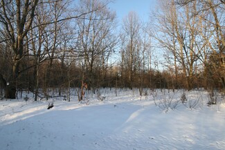 Parcel 2 Old Allegan Rd, Saugatuck, MI 49453