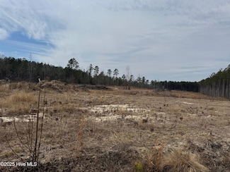 563 Winford Rd, Eagle Springs, NC 27242
