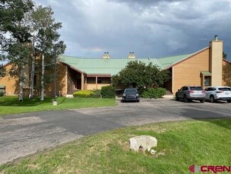 247 Davis Cup Dr Unit 4201, Pagosa Springs, CO 81147