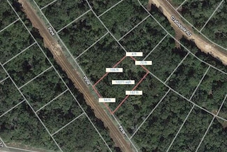 Lot 47 Pine Ln, Hilltop Lakes, TX 77871