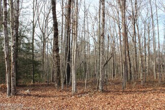 0 Pickett Park Hwy Unit 1248030, Jamestown, TN 38556