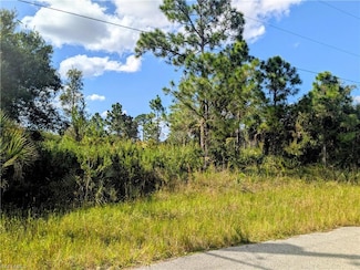 6011 Terry Ave N, Lehigh Acres, FL 33971