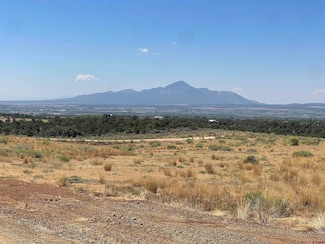 Lot 8 Road 25, Dolores, CO 81323