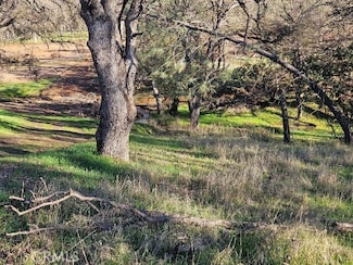 16277 42nd Ave, Clearlake, CA 95422