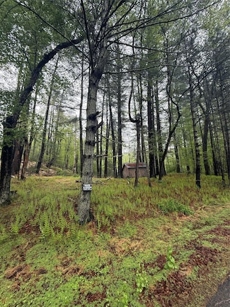 0 Hankins Rd, Tusten, NY 12764