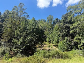 Lot 626 Quail Valley Dr, Princeton, WV 24740