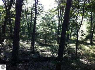 N/A Pine St, Au Gres, MI 48703